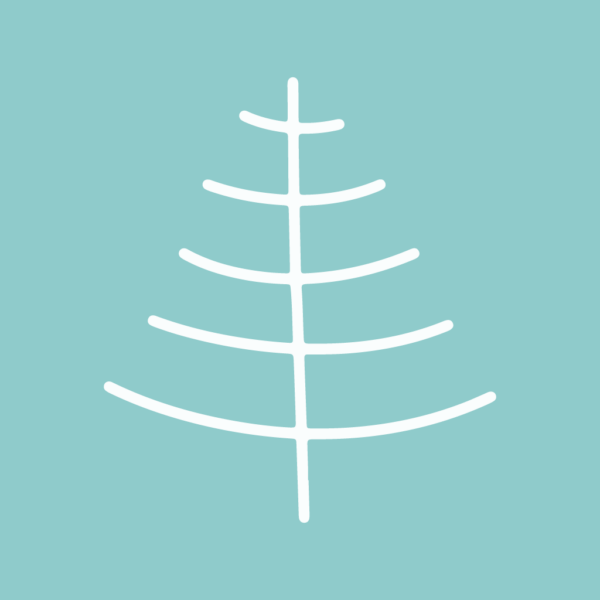 Explore Norfolk Island DIY Tour Logo